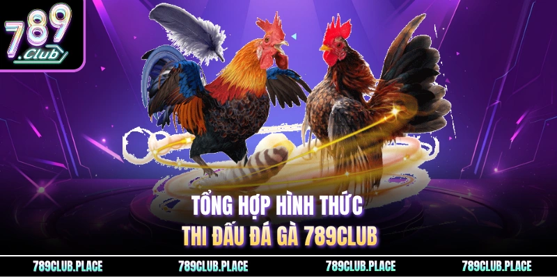 Tổng hợp hình thức thi đấu đá gà 789Club