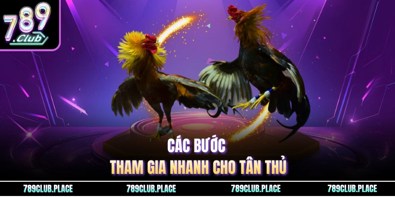 Các bước tham gia nhanh cho tân thủ